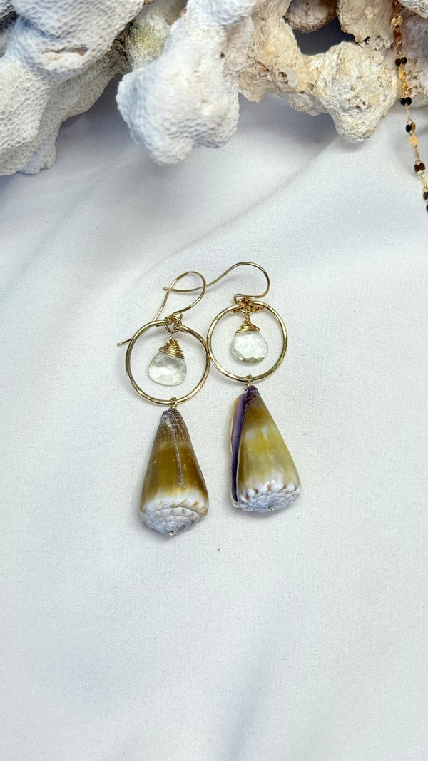 Gillian shell earrings - Olive cone