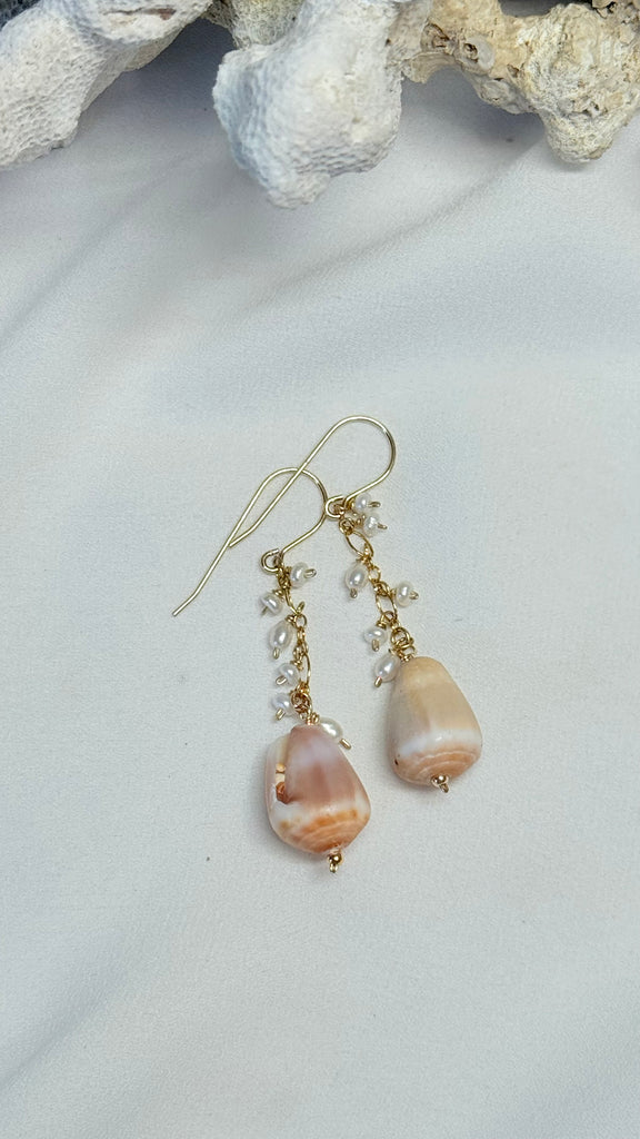 Sprinkle shell earrings