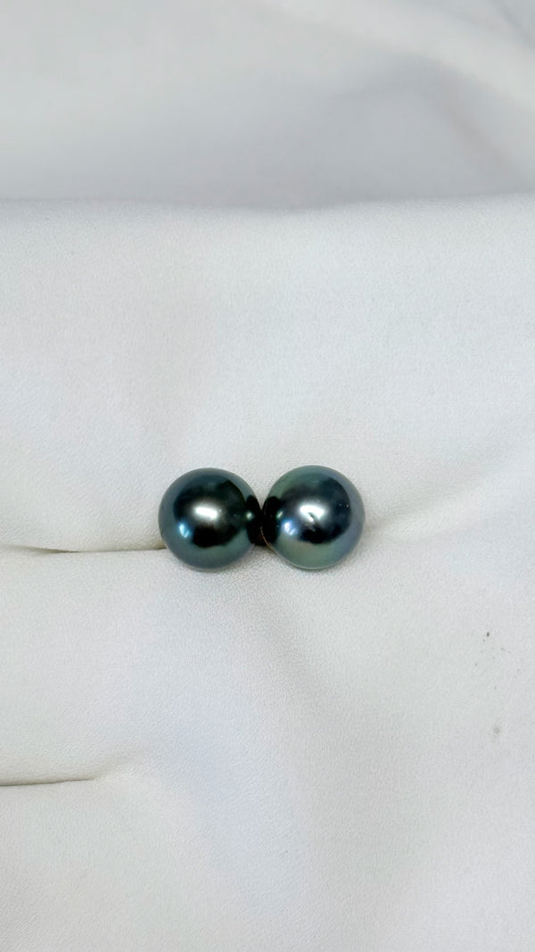 9-10mm Tahitian stud earrings - 14k gold filled